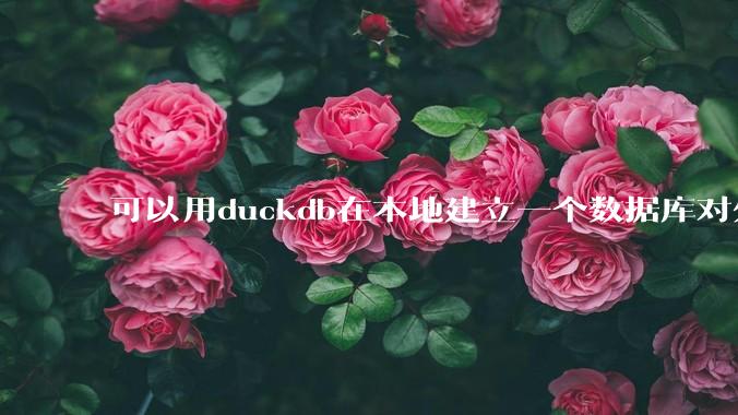 可以用duckdb在本地建立一个数据库对外服务吗？