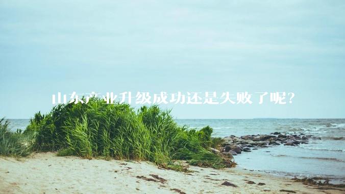 山东产业升级成功还是失败了呢？