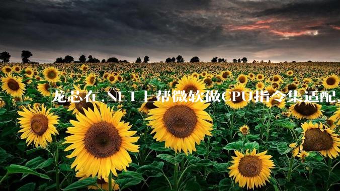龙芯在.NET上帮微软做CPU指令集适配，为什么到国内.NET开发者这里成了维护龙芯.NET版本?