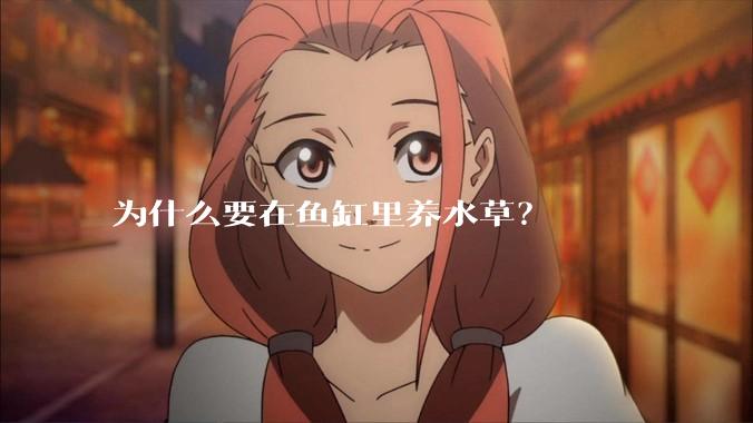 为什么要在鱼缸里养水草？