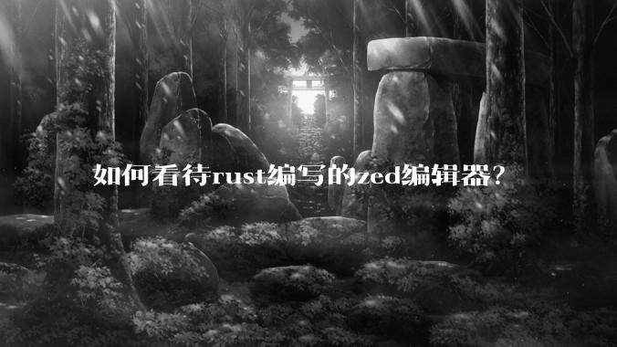 如何看待rust编写的zed编辑器？
